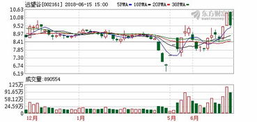 遠(yuǎn)望谷002161 投資興辦實(shí)業(yè)，記憶之外的價(jià)值堅(jiān)守