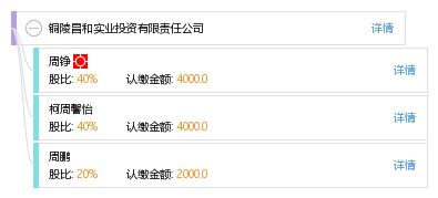 銅陵昌和實(shí)業(yè)投資有限責(zé)任公司 實(shí)業(yè)投資的戰(zhàn)略藍(lán)圖與價(jià)值創(chuàng)造